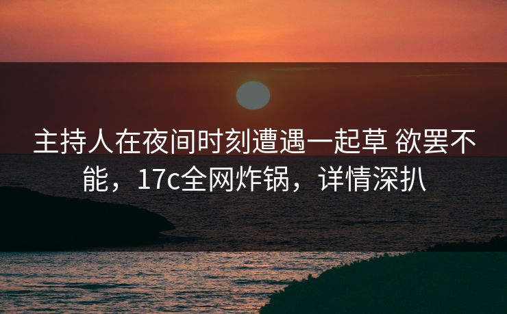 主持人在夜间时刻遭遇一起草 欲罢不能，17c全网炸锅，详情深扒