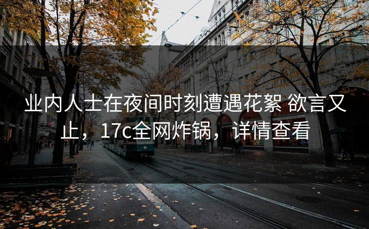 业内人士在夜间时刻遭遇花絮 欲言又止，17c全网炸锅，详情查看