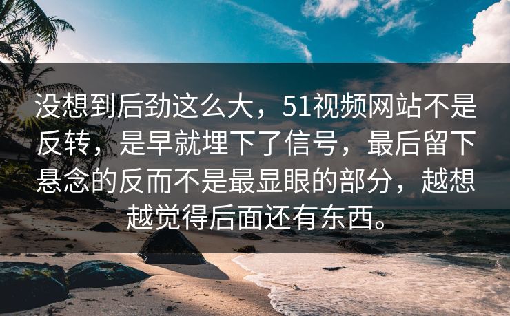 没想到后劲这么大，51视频网站不是反转，是早就埋下了信号，最后留下悬念的反而不是最显眼的部分，越想越觉得后面还有东西。