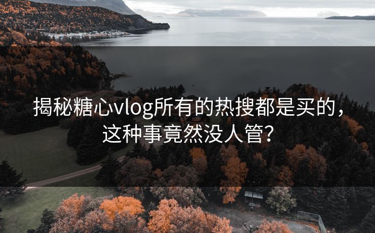 揭秘糖心vlog所有的热搜都是买的，这种事竟然没人管？